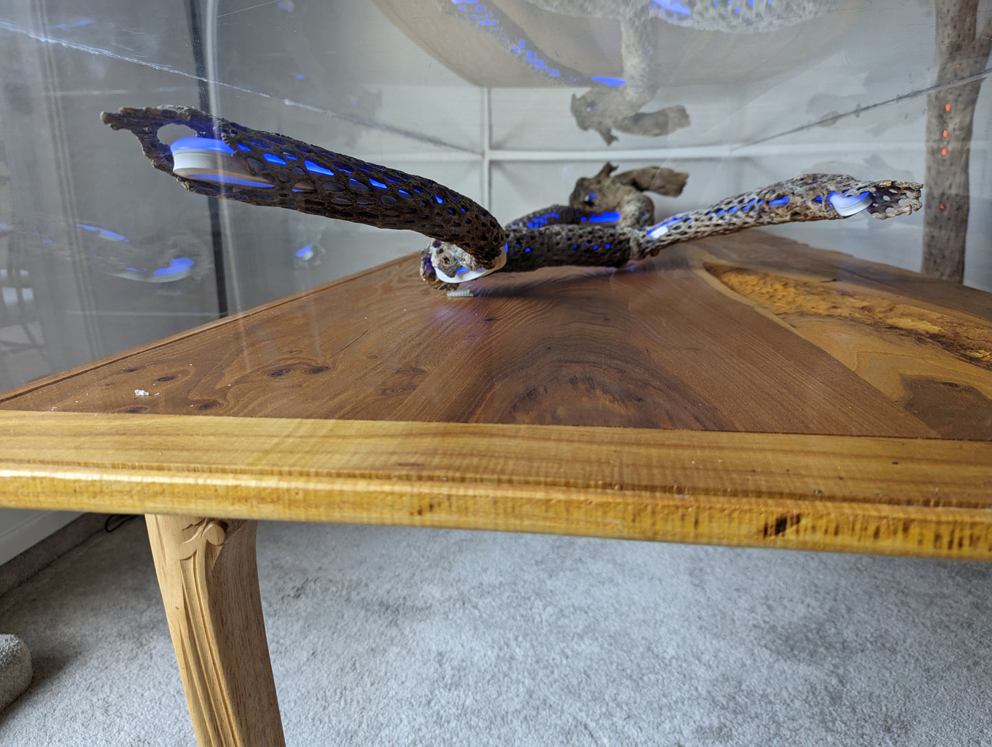 **SOLD ** DJ Booth Cactus Bones Table