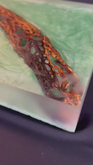 ** COMING SOON** CACTUS BONE TREE OF LIFE END TABLE