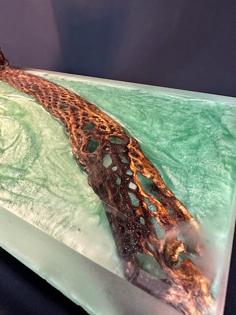 ** COMING SOON** CACTUS BONE TREE OF LIFE END TABLE