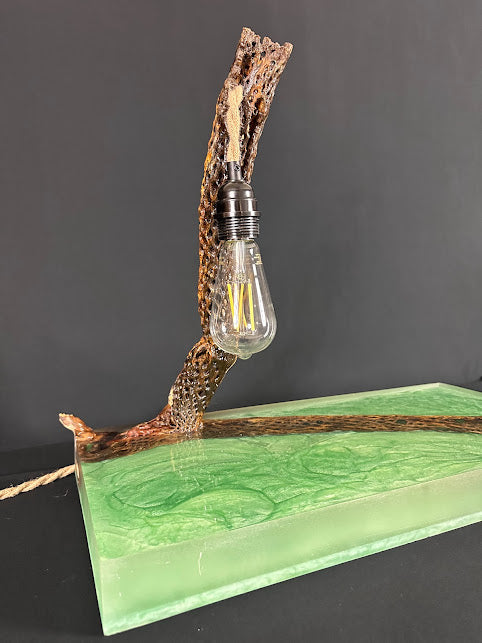 ** COMING SOON** CACTUS BONE TREE OF LIFE END TABLE